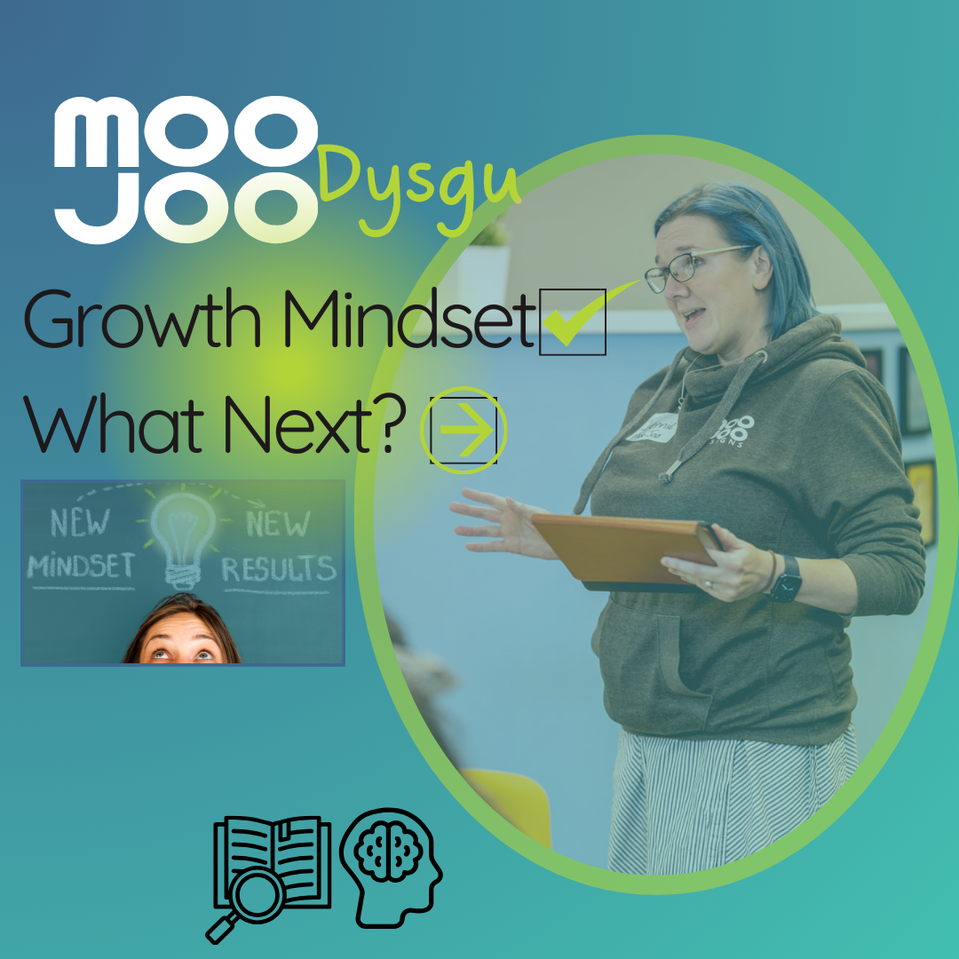 Growth Mindset - What Next?